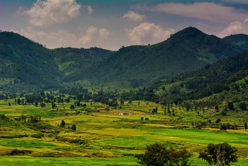 Araku Valley places to visit